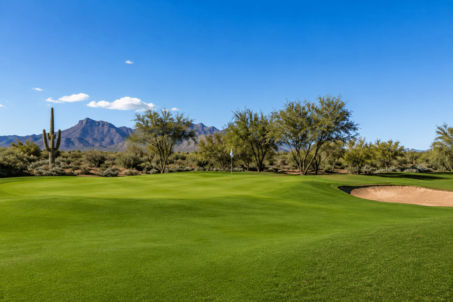 A manicured Scottsdale golf green bordered by desert trees, a saguaro, and mountain views.